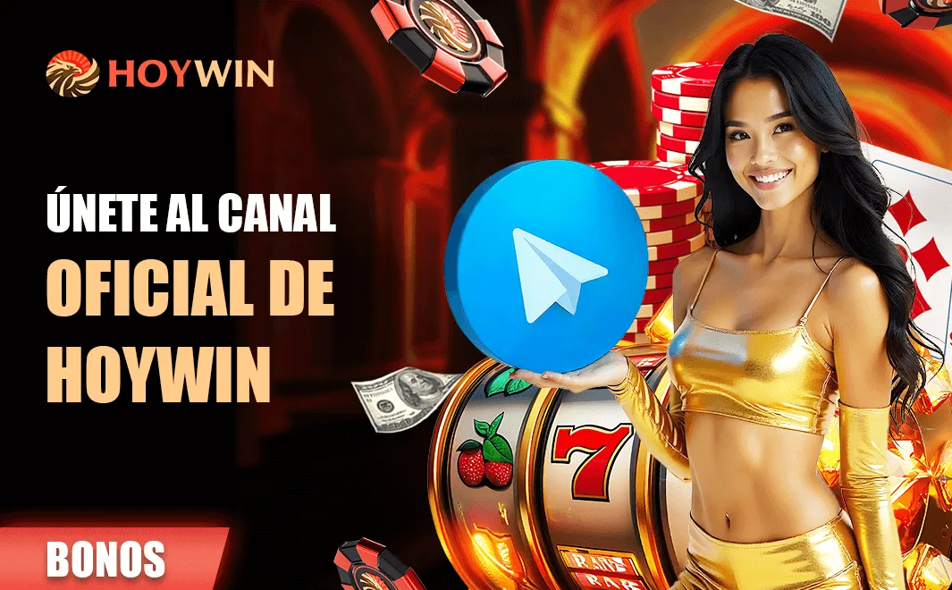 Material de marca de Hoywin